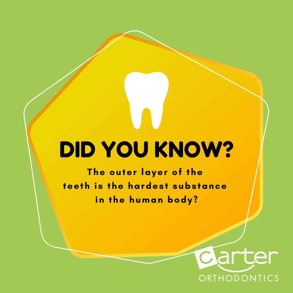 did you know