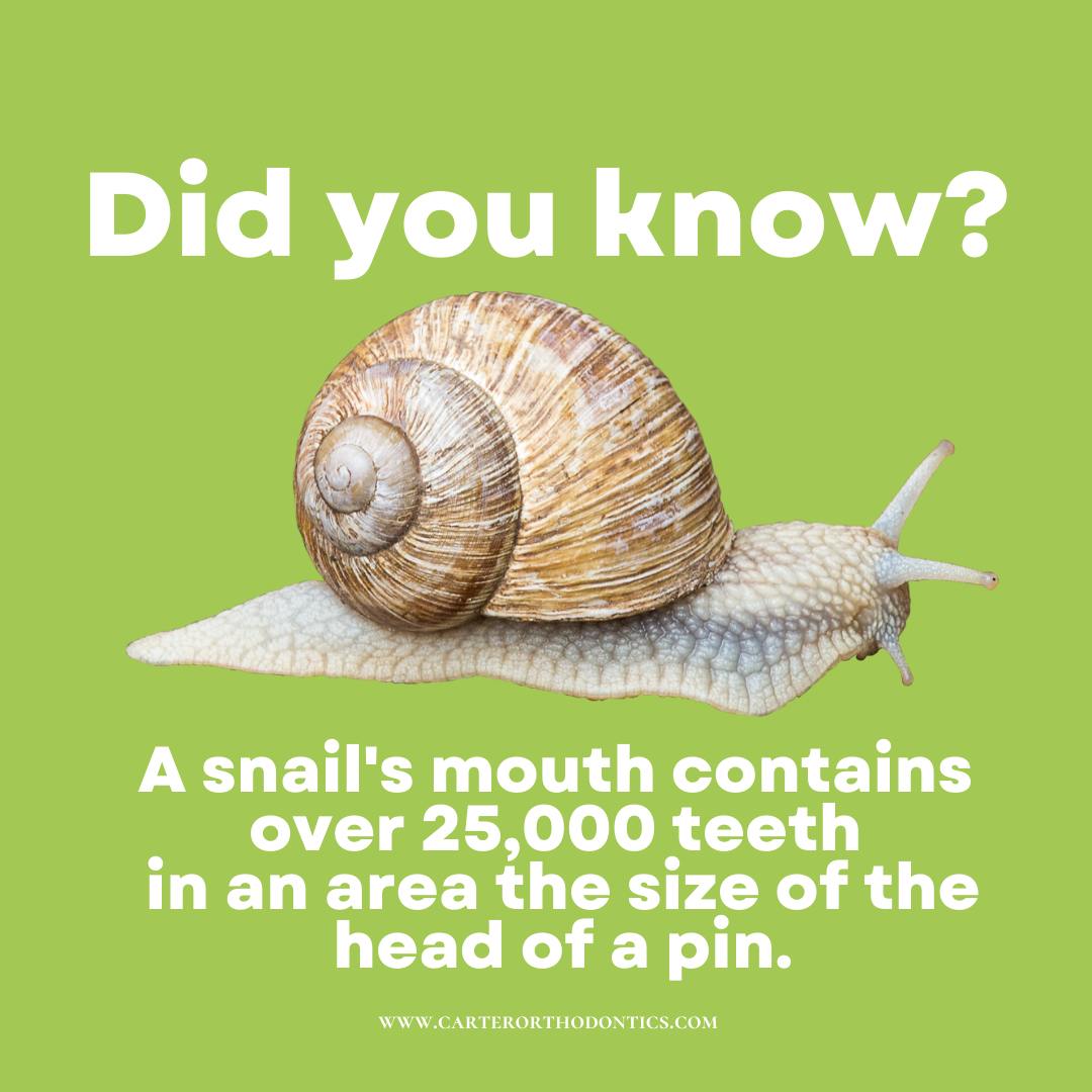 Here are some facts that you might not know..... Carter Orthodontics