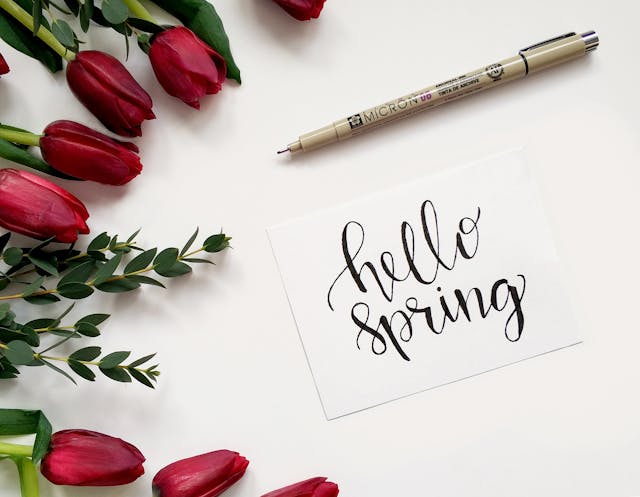 Hello spring