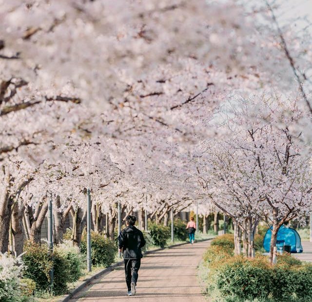 spring activity