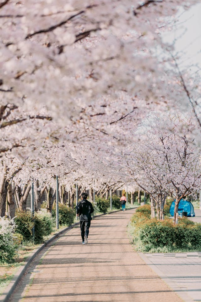 spring activity